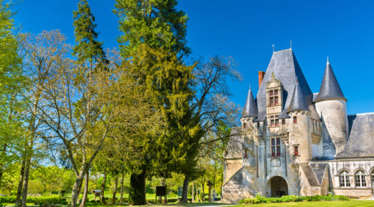 château près de Lyon